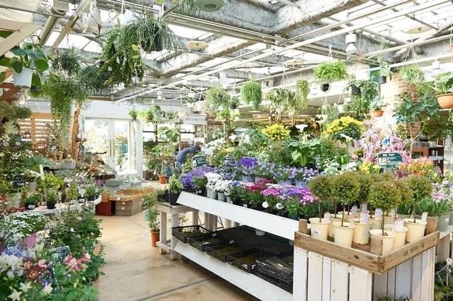 绿植花卉实体店名字大全 日本这些绿植店,让你即使宅在家,也能被自然
