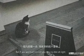 情感文案｜“总有一句话值得你收藏。”图片