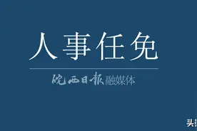六安市人民政府任免通知图片