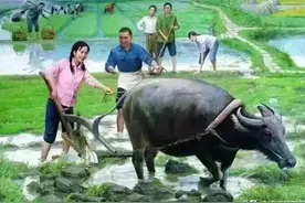十二生肖最舍得在哪方面花钱？图片