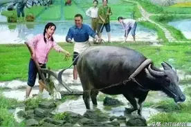 十二生肖最舍得在哪方面花钱？图片