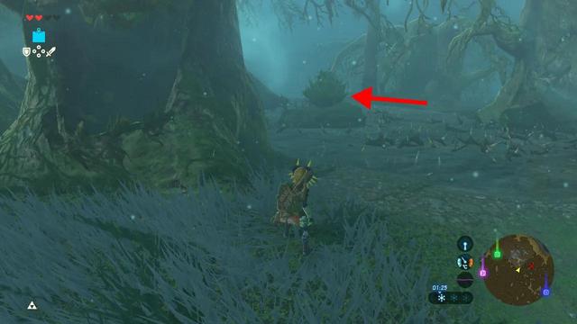 塞尔达传说之旷野之息全神庙位置（六）——森林之塔