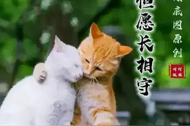 今天，我就想问问：我们来到这个世界上，到底是为了什么？图片