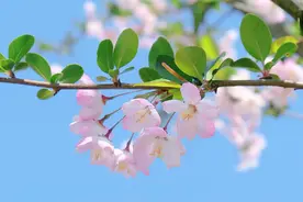 缘分天注定，你会遇见谁一切都有安排图片