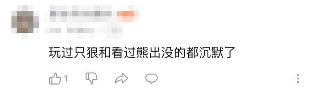 《只狼》，在发售2年后再度出圈