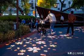 快看，超美“樱花夜”！大学路景观灯光上新图片