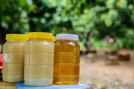 【揭秘】蜂蜜多少钱一斤正常？如何鉴别真假蜂蜜？图片