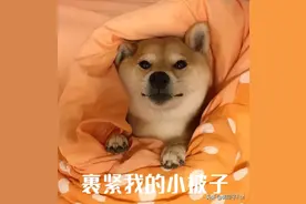 被子越厚，睡眠越好？真有科学依据！这个厚度最佳→图片