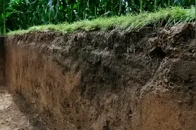 有土才有粮！我国400年才形成的东北黑土地，是谁在用4块钱贱卖？图片