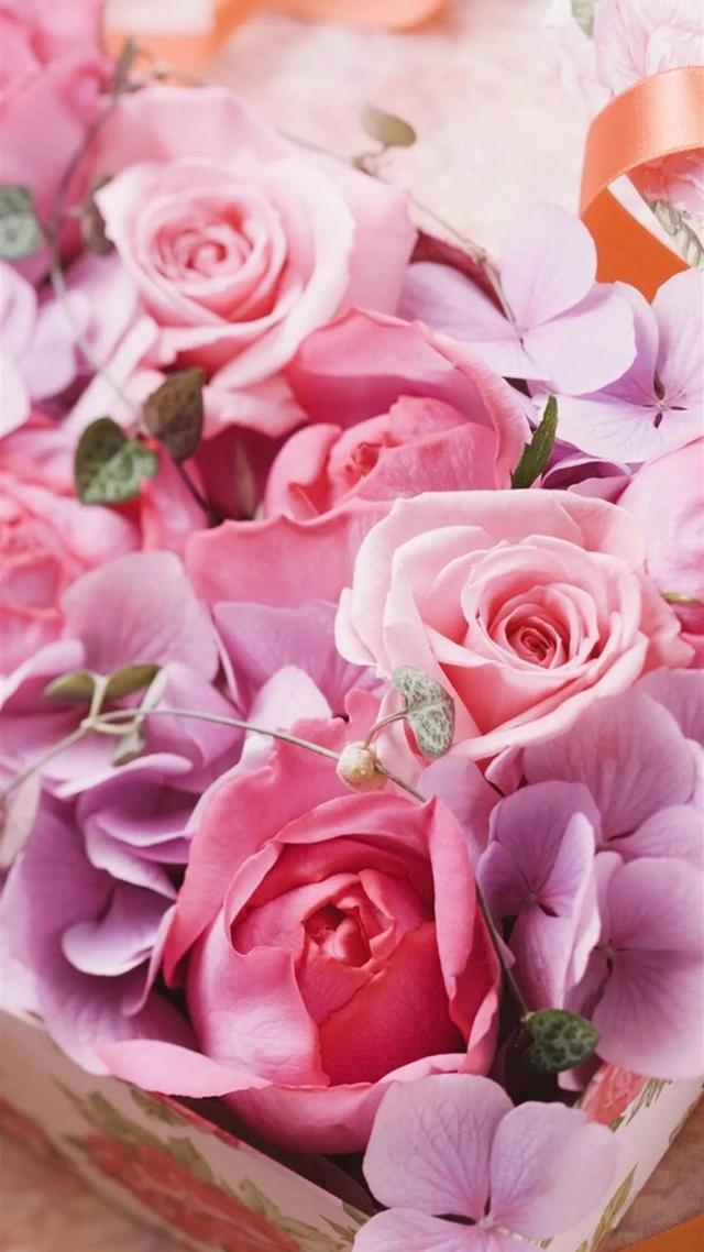 唯美壁纸:粉色玫瑰花