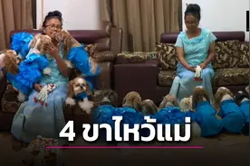 狗狗排队送祝福！泰国母亲节温情瞬间，直抵无数人的内心….图片