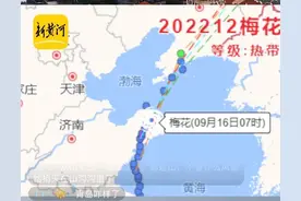 台风的‬名字‬是‬谁‬取的‬？梅花‬‬名字‬是‬怎么来的‬图片