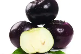 第43天：辅食茄子 与茄子相克的食物 辅食茄子你可以尝试这些做法图片