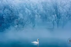 9句清醒深刻的人生格言，读完自会豁然开朗！图片