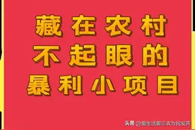 藏在农村的高利润小项目，有人已因此发家致富了，来见识一下吧图片