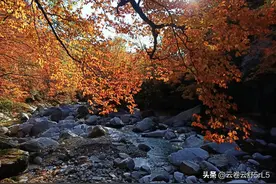 光雾山之行图片