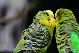 第三章 哥们的喜怒哀乐(二十八、 郝可慰问牟哥的落寞)图片