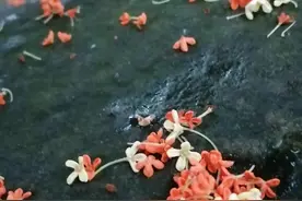 孙保才《内功劲法漫谈》之心意拳行功初探（4）图片