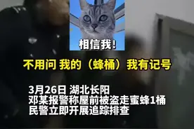 现实版“熊出没”，湖北宜昌一男子偷蜜蜂养殖被抓谎称老舅给的图片