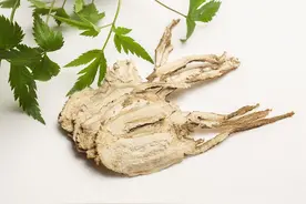 中医治疗颈痹麻木（气血亏虚，瘀阻经络型）经方1则，益气养血图片