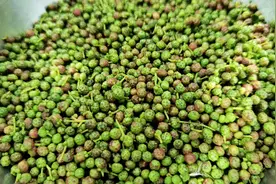 入伏后，遇见青花椒别手软，多囤些放冰箱保存，随吃随取，真省事图片