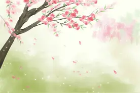 遇见你，一半明媚，一半忧伤图片