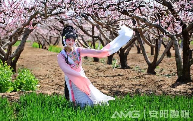 邺风丨人面桃花相映红