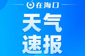 雷电黄色预警！海口市27日14时到20时可能发生雷电活动图片