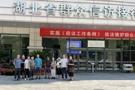 武汉刘金龙案|“黑恶势力”的我们，为何还敢向各级单位伸冤叫苦图片