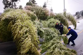 战疫情他们迎难而上 风雪中他们疏堵保畅图片