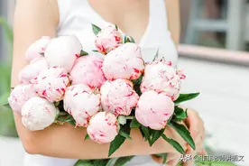 2023届广东省茂名市高三下学期第一次综合测试语文试卷（含答案）图片