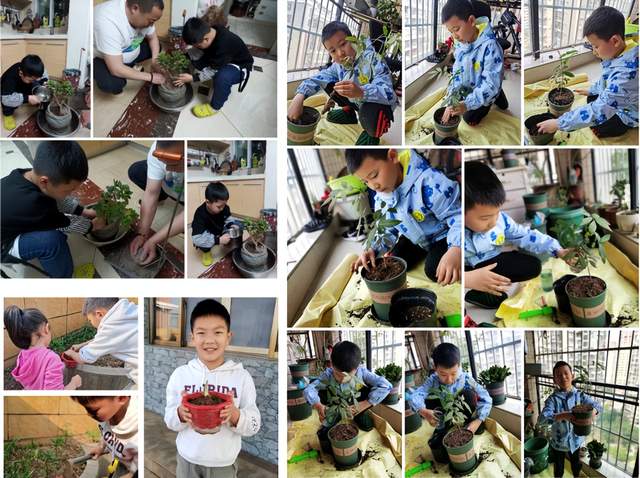 四川省民生研究会新媒体中心-官网