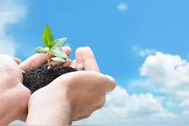 挂在青天是我心——诗意未检 岁岁相期图片