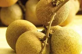 桂圆被称为“益智果”，可很多人没弄清楚，每天吃多少颗最好？图片