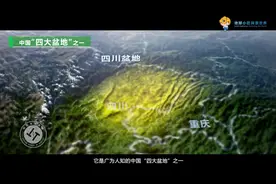 世界地球日，三维动画带你了解四川盆地的“前世今生”图片