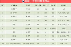 韩国十大企业集团实控人真相图片