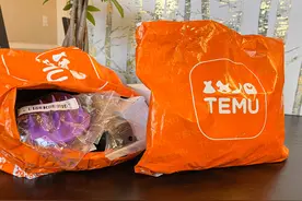 Temu惹怒卖家，遭血泪控诉九宗罪，几百单只赚个饭钱？图片