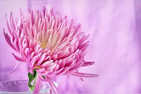 一个人，若是你命中注定的“正缘”，会给你这三种感觉图片