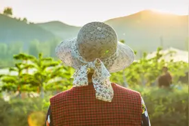 “村官”不是“官”？仗着分发征收补偿款吃拿卡要怎么办？图片