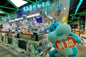 花了3年时间 盒马自己养的首批活虾“上岸”了图片