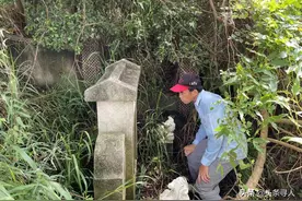 河北邯郸籍赴台老兵周振海在台湾孤独离世，头条寻人盼为他找到亲人图片