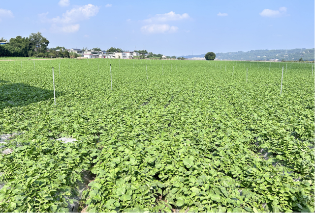 四川省民生研究会新媒体中心-官网