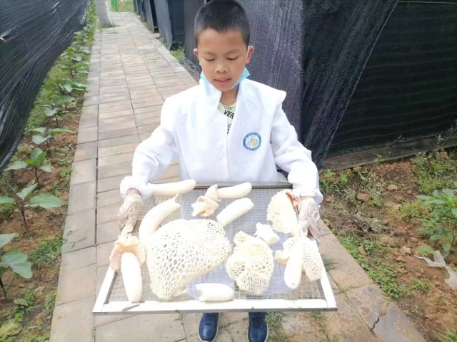 四川省民生研究会新媒体中心-官网