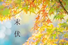 明日末伏，再忙也要摊个饼，蔬菜水果任选，滋补营养，平安度秋图片