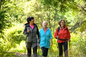 广州老年人旅游景点推荐TOP10图片