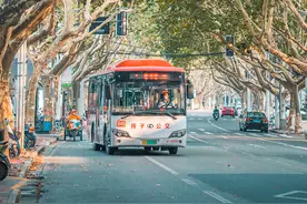 关于大厂的记忆图片