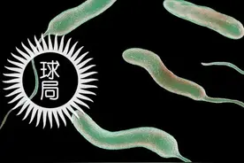 武汉突然出现的霍乱，是一种什么病？| 地球知识局图片