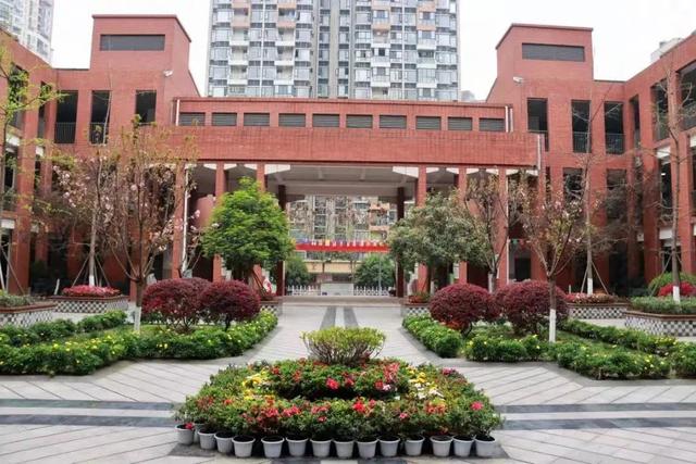 除了“五朵金花”，成都各个区还有哪些公办小学值得考察