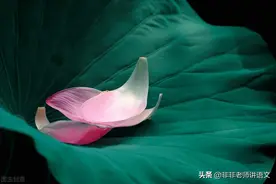 湖北十一校2022 届高三第一次联考语文试题及答案解析图片