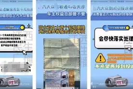 卖不动“装潢”，4S店“大逃亡”图片